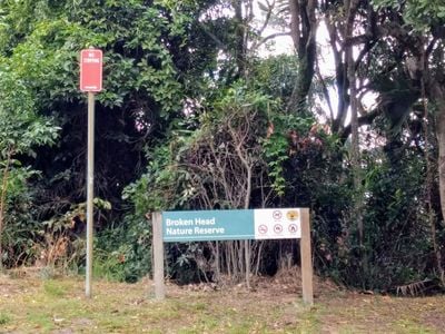 Kings Beach walking track