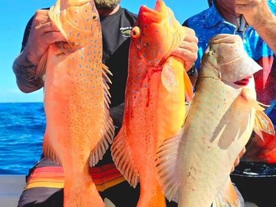 Hot Reels Pro Fish Charters