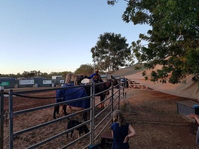 Katherine Outback Experience