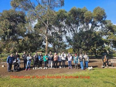 Small dog Park Gawler