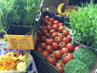 FreshBox Organic Delivery