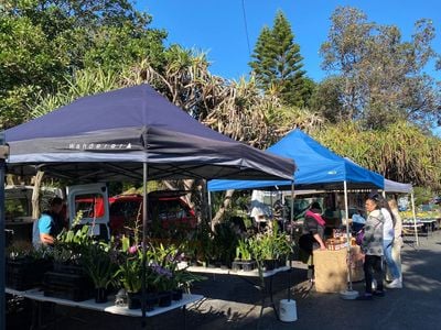 Yamba Farmers & Producers Market