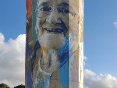 Warrnambool West Water Tower Art