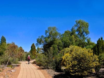 Australian Arid Lands Botanic Garden