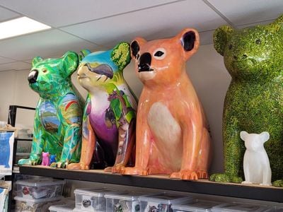 Hello Koalas Gallery & Gift Shop