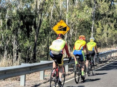 Lifecycles Byron Bay