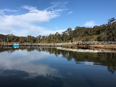 Lakes-Explorer: Wildlife Tours or Water-Taxi