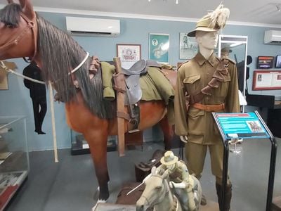 The Darwin History and Wartime Experience