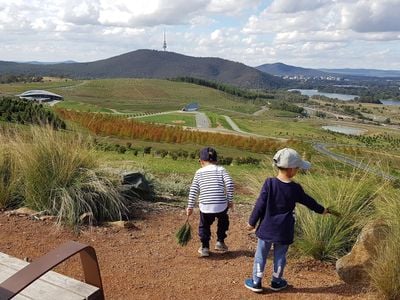 Dairy Farmers Hill Lookout