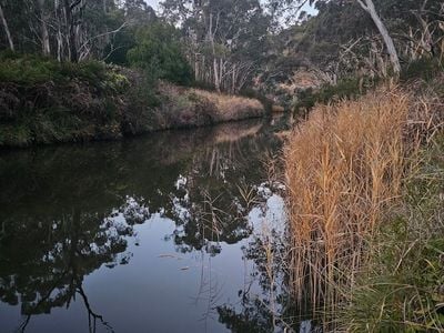 Cudlee Creek Conservation Park