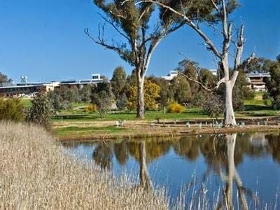 Charles Sturt University, Albury-Wodonga