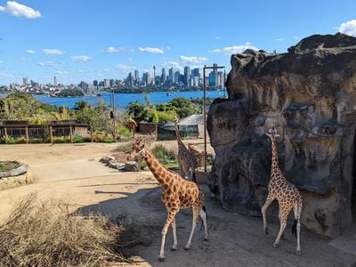 Taronga Zoo Sydney