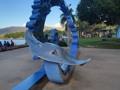 Stingray in the park