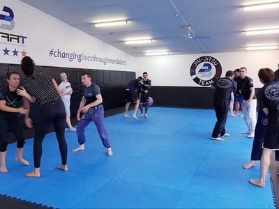 Damus Fry Jiu Jitsu