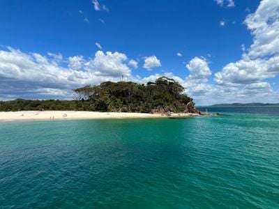 Dolphin Swim Australia