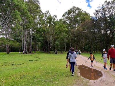 Koala Trail