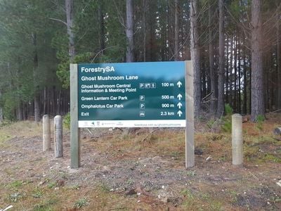 ForestrySA