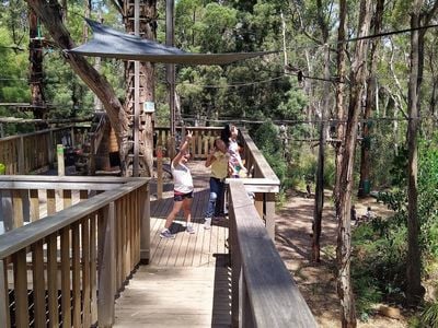 Treetops Adventure Yeodene Park