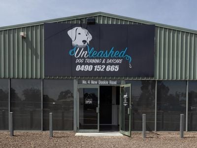 Unleashed Dog Training and Daycare