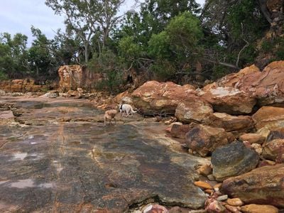 Fannie Bay Foreshore