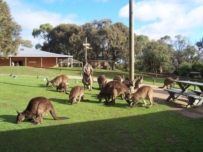 Ballarat Wildlife Park/Fussell St