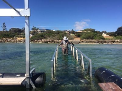 Oyster Farm Tours - Coffin Bay