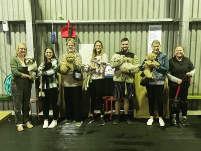 Jason Harris Dog Training Facility