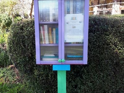 Street Library on Annie's Lane, Curtin - Little Free Library (Charter #42363)