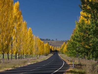 Centacare NENW Armidale