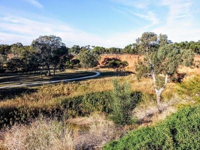 Gawler parkrun