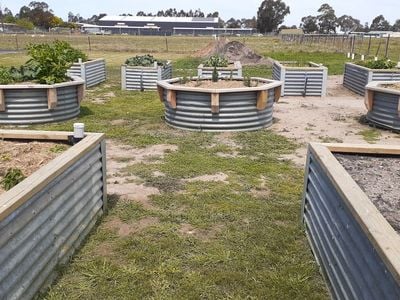 Bairnsdale Community Garden Bairnsdale Community Garden