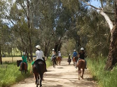 Bits & Boots Pony Rides