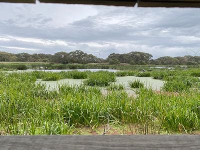 Baxters Wetland