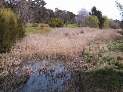 North Belconnen Community Landcare Group