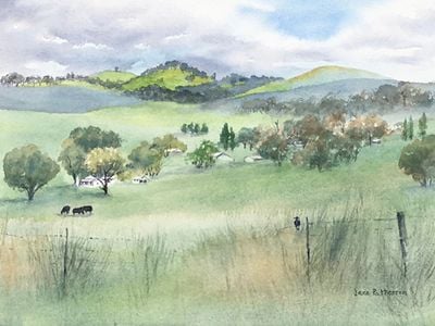 Jane Patterson Watercolours Home Gallery