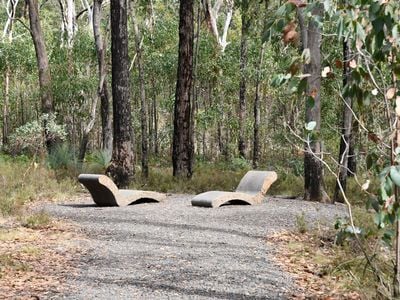 Friendly Forest & Sensory Trail