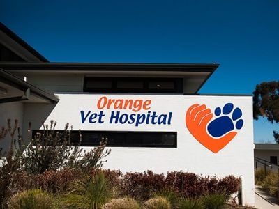 Orange Veterinary Hospital