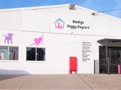 Bendigo Doggy Daycare