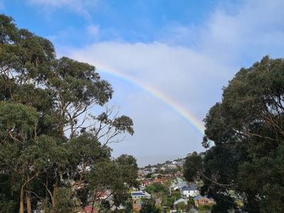 Leonard Wall Reserve