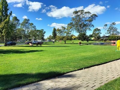 Shepparton Moooving Art