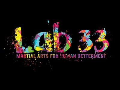 Lab 33 - North Ward - BJJ & Martial Arts for Human Betterment