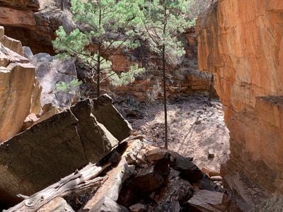 Hidden Gorge Trail End