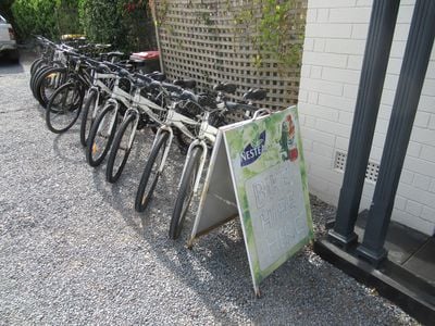 Glenelg Bicycle Hire