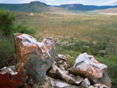 Bush Heritage Australia