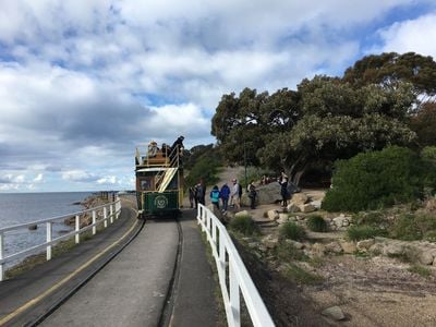 The Big Duck Boat Tours