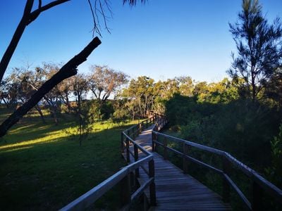 Mon Repos Walking Track