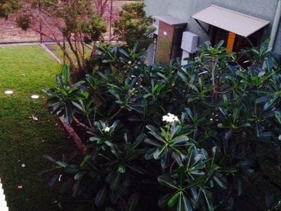 Townsville Hospital Staff accommodation