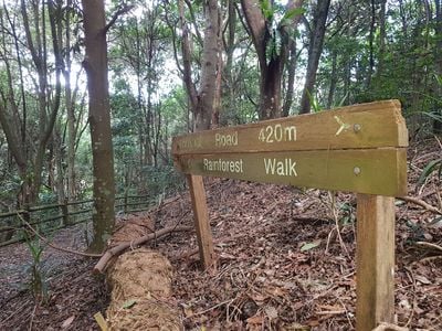 Lost Picnic Area