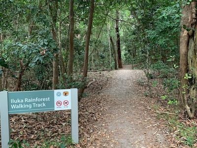 Iluka Rainforest walking track