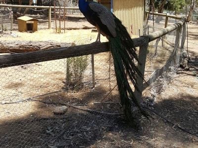 Wildlife Park